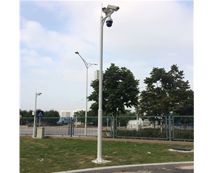 固原道路监控杆-LB-05