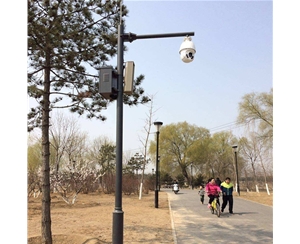 固原小区监控杆-LB-02